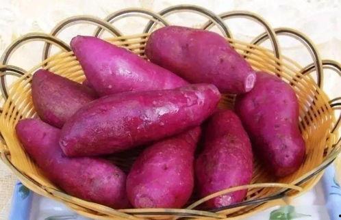 红薯直播现场吃瓜视频,吃瓜群众围观美食盛宴