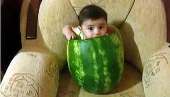 吃黄皮瓜危害大吗视频讲解,危害大揭秘