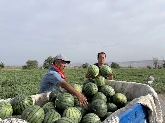 云州区吃瓜视频,揭秘当地特色美食与风土人情