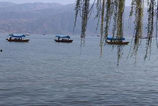 邛海吃瓜事件视频解说,一场网络热议的真相揭秘