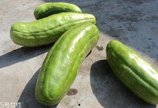 脆瓜怎么样吃才好吃视频,解锁脆瓜最佳食用方法