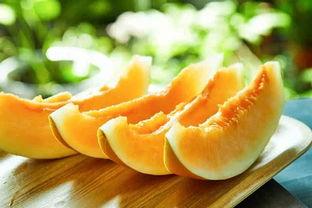 羊可以吃蜜瓜吗视频教程,蜜瓜大餐，羊儿也爱吃的甜蜜滋味