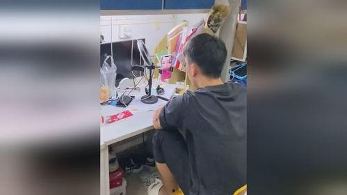 宿舍吃瓜视频配乐,动感音乐点燃青春瞬间