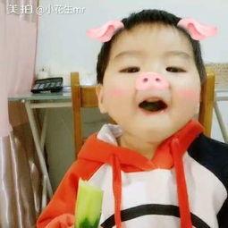 小猪吃瓜可爱视频在线观看